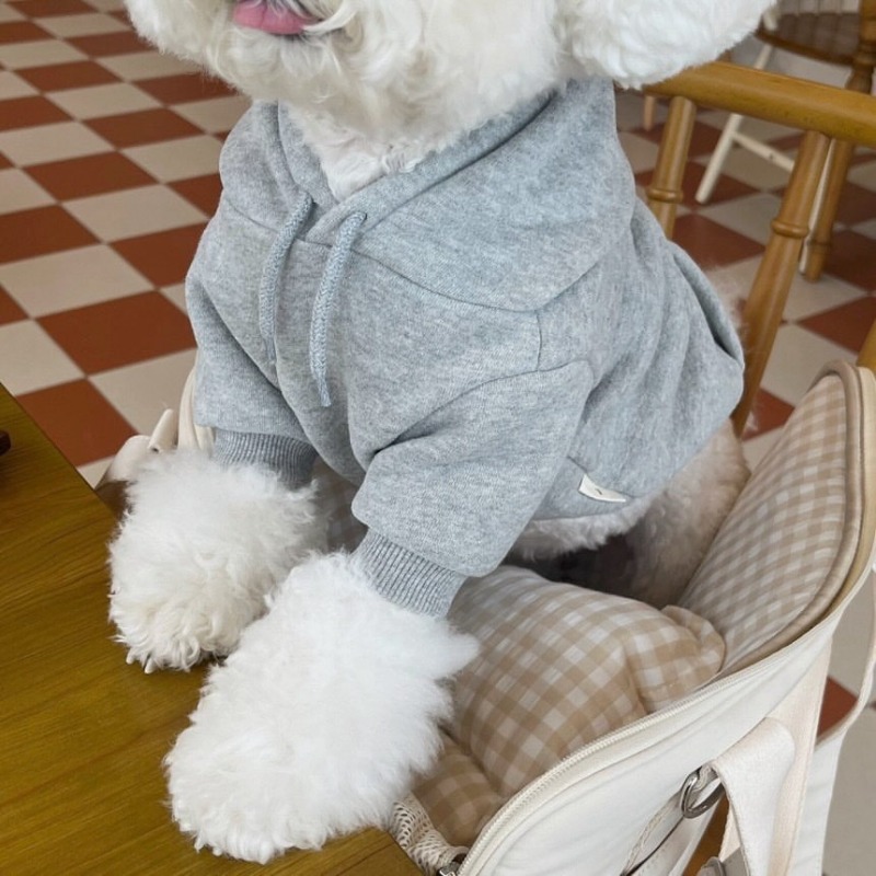 Letter Hoodie Pet Clothing Dog - Winter Clothing Boys review and price