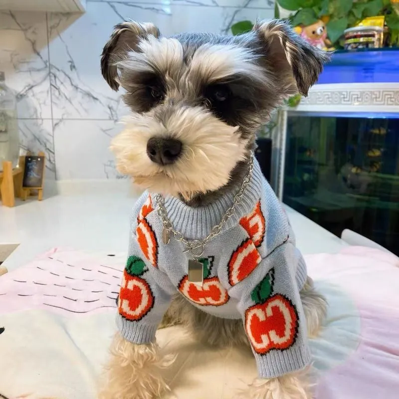 Letter Sweater Pet Dog Clothes - Winter Clothing Boys review and price