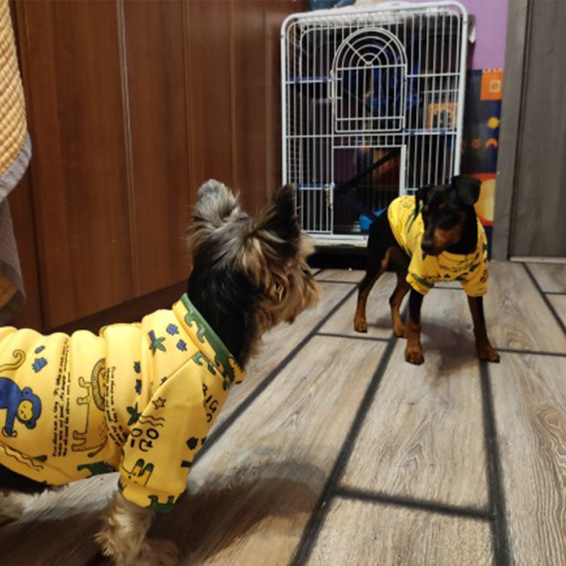 Xs Dog Clothes for Small Dogs  - Winter Clothing Boys review and price
