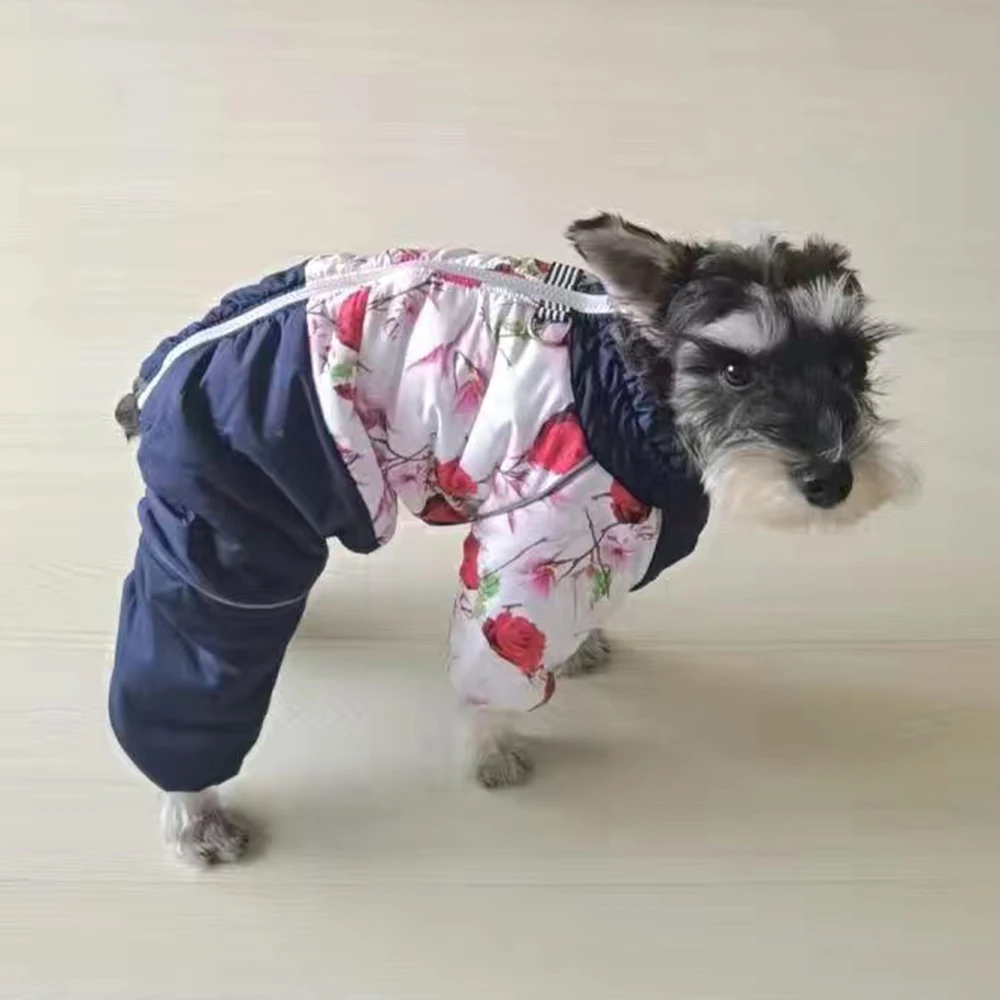 Pet Winter Clothes Waterproof  - Winter Clothing Boys review and price