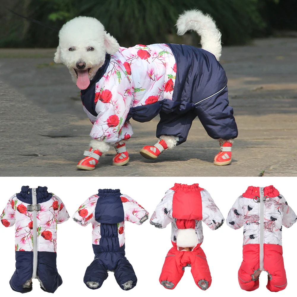 Pet Winter Clothes Waterproof  - Winter Clothing Boys review and price